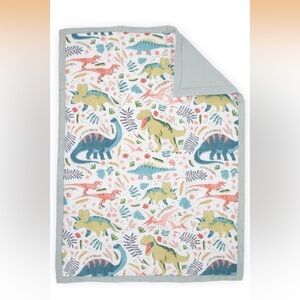 Muslin Toddler Dino Blanket
